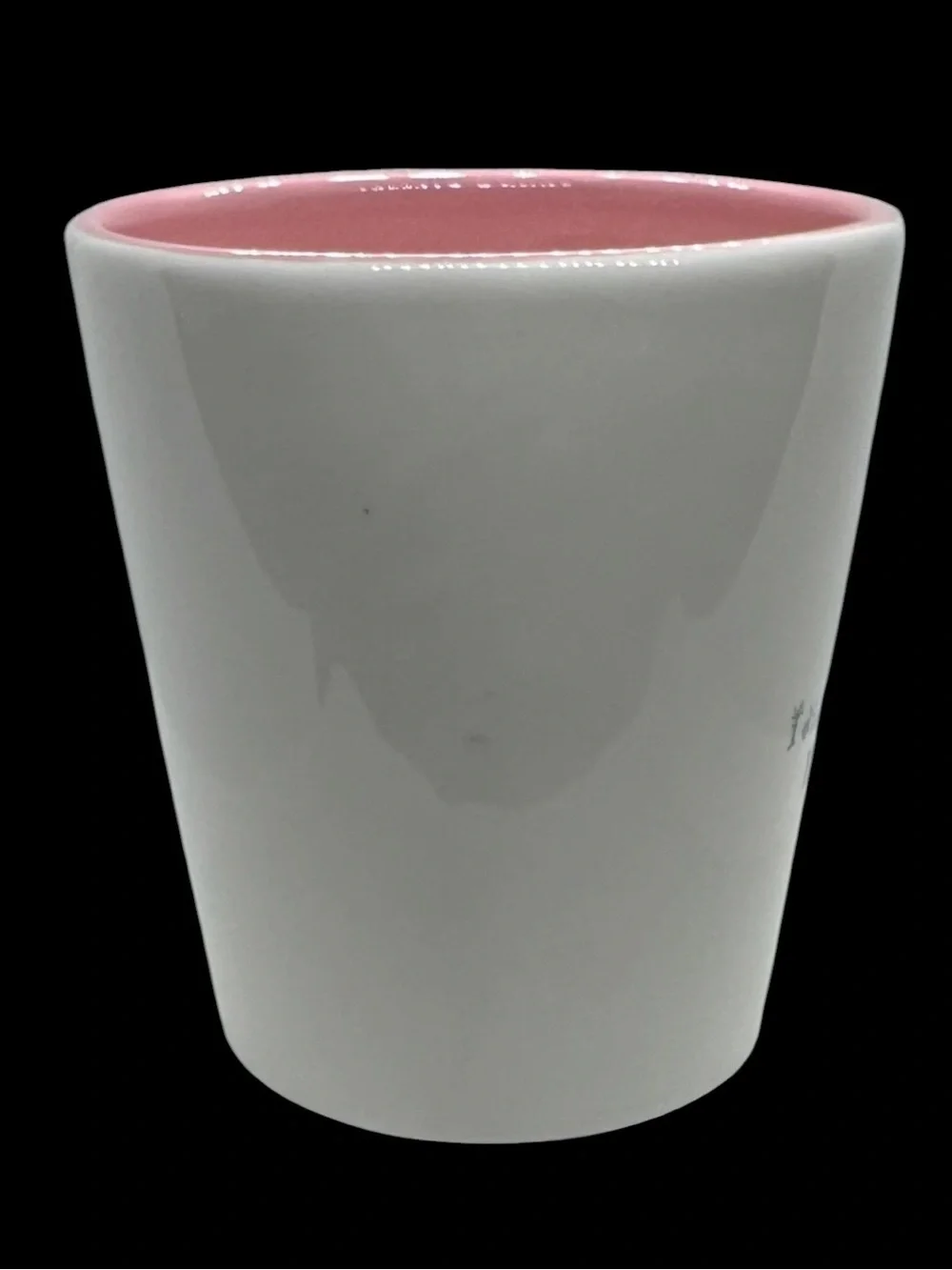 GANZ White and Pink Ceramic Mug with Crown Motif I Didn’t Ask to be Princess